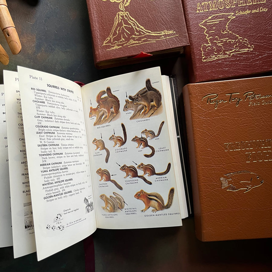 The 50th Anniversary Editions of Peterson Field Guides Set of 4 Publis ...