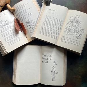 The Family Treasury of Children’s Stories-3 Volume Set-Junior Deluxe Editions-vintage children's stories-edited by Pauline Rush Evans with illustrations by Donald Sibley-view of the illustrattions