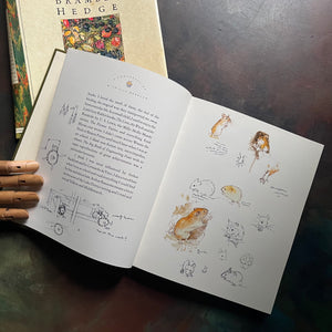 The Four Seasons of Brambley Hedge-written and illustrated by Jill Barklem-classic picture book anthology-read-aloud favorite-homeschool-favorite-view of the illustrations in progress from the conversation with Jill Barklem section in the beginning of the book