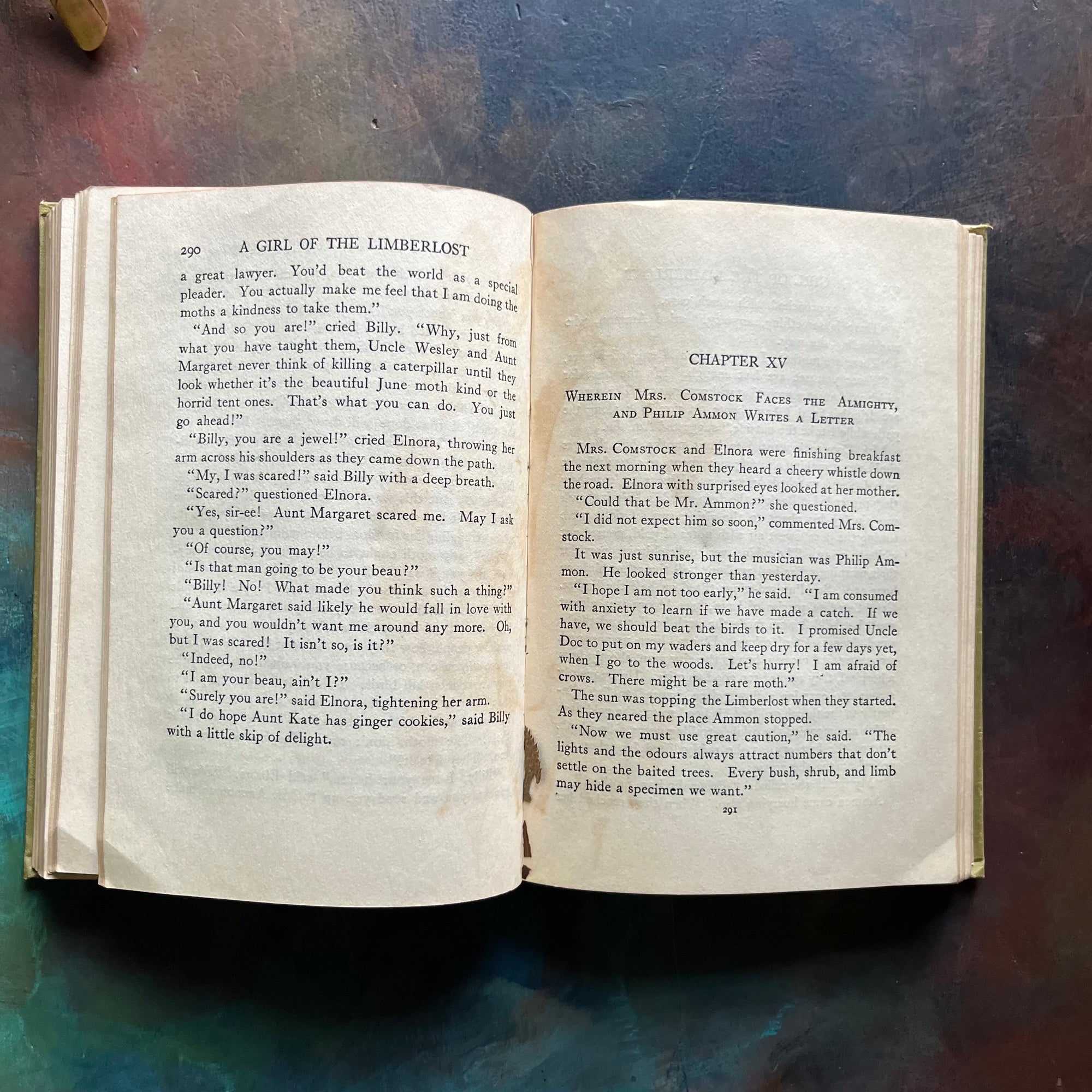 The Girl of the Limberlost-Gene Stratton-Porter-vintage novel-Limberlost of Indiana-view of the inside content