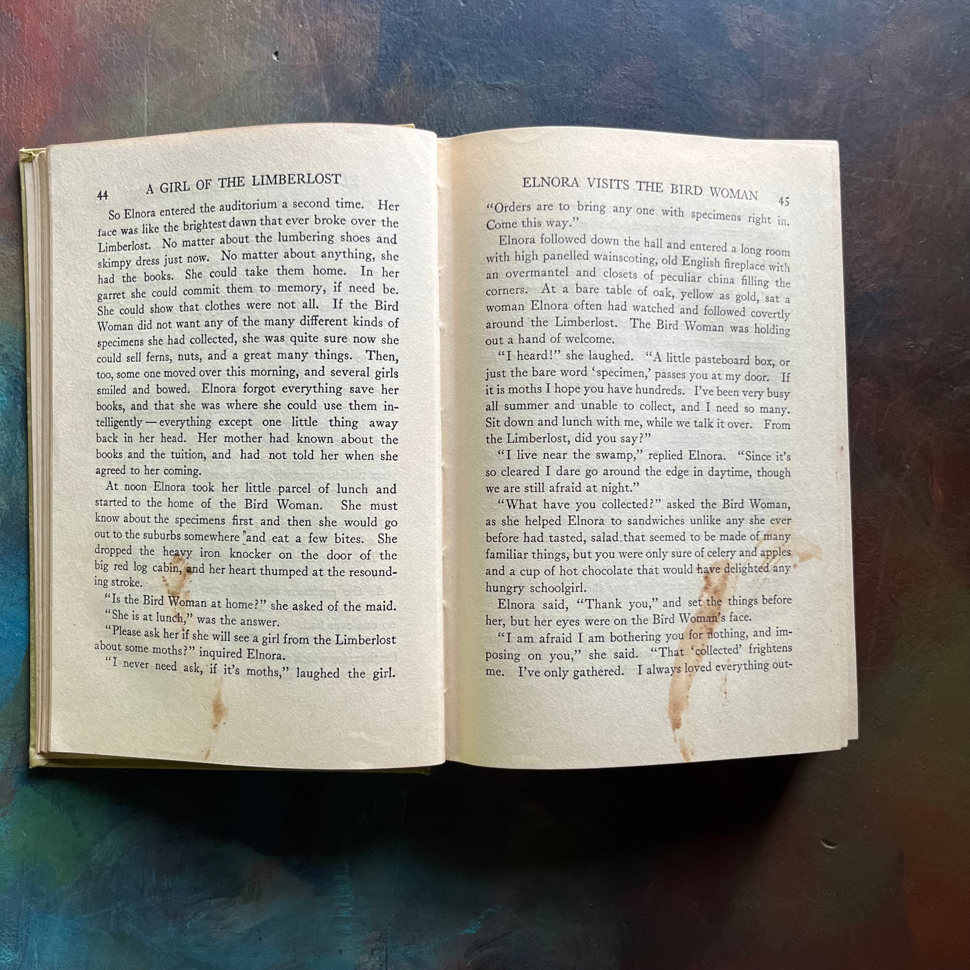 The Girl of the Limberlost-Gene Stratton-Porter-vintage novel-Limberlost of Indiana-view of the inside content showing condition of pages