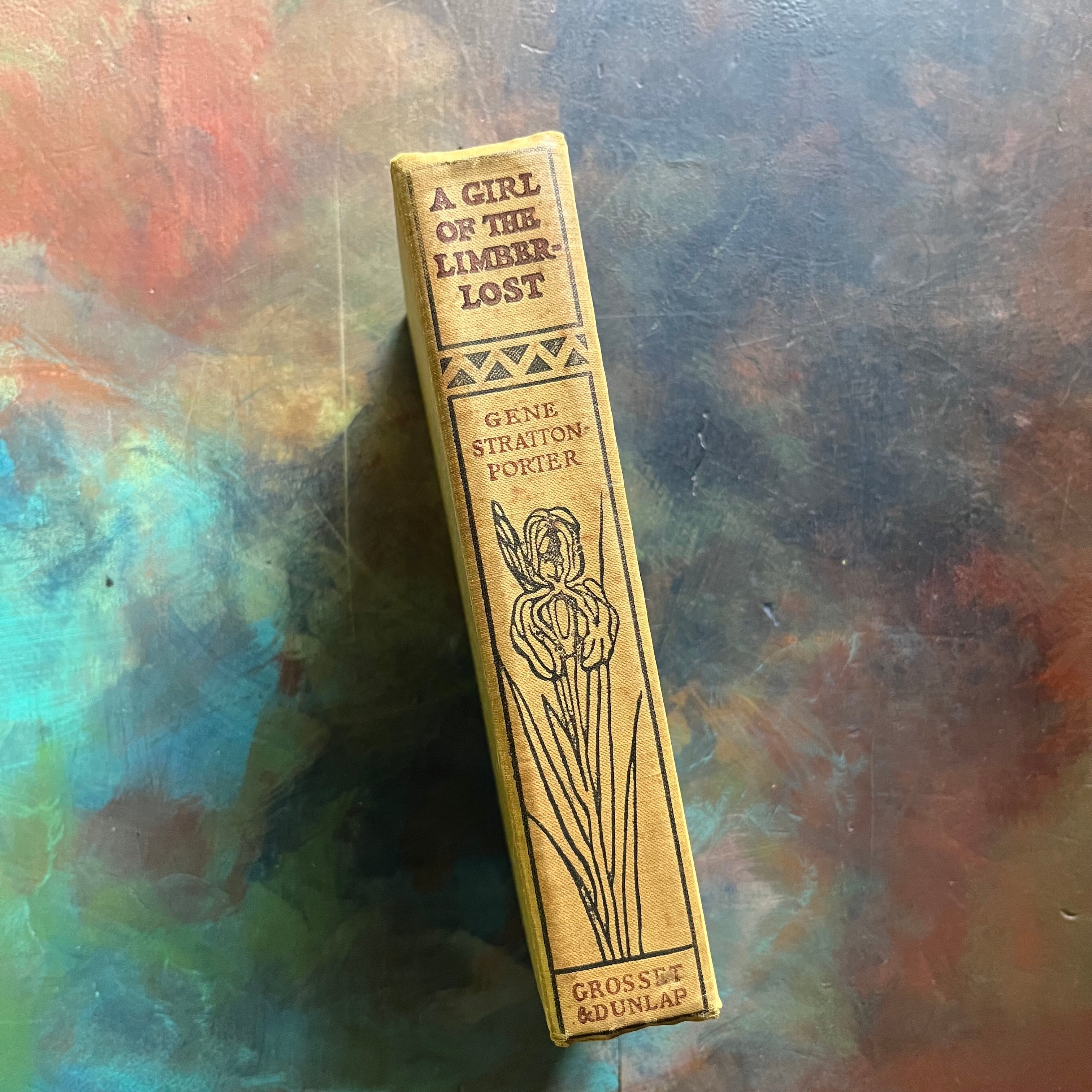 The Girl of the Limberlost-Gene Stratton-Porter-vintage novel-Limberlost of Indiana-view of the spine with the same design as the front cover embossed on the spine