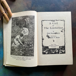 The Girl of the Limberlost-Gene Stratton-Porter-vintage novel-Limberlost of Indiana-view of the title page and frontispiece
