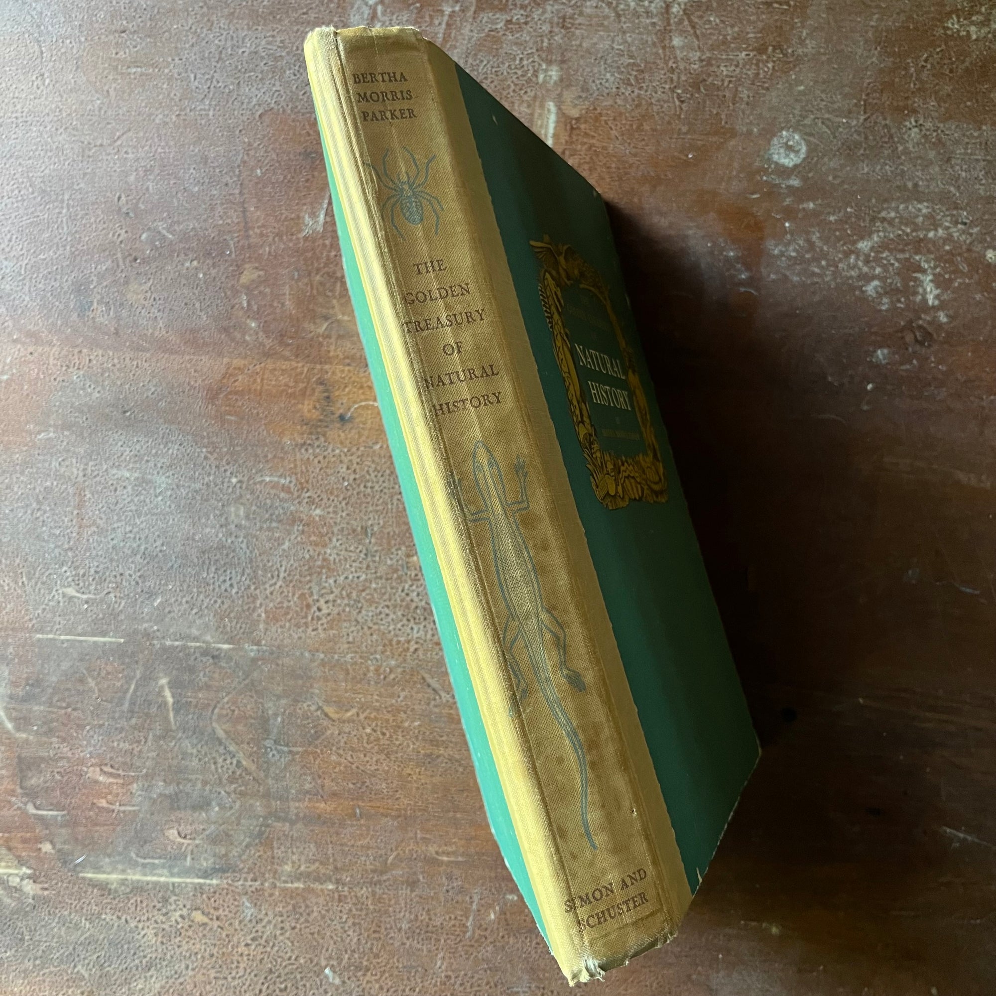 vintage children's non-fiction, vintage non-fiction – nature books, natural history books – The Golden Treasury of Natural History by Bertha Morris Parker - view of the spine