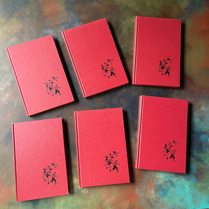 The Happy Hollisters Six Book Set-Jerry West-America's Favorite Classic Mystery Series for Young Readers-Helen Hamilton-vintage children's chapter books-view of the front covers in red & black