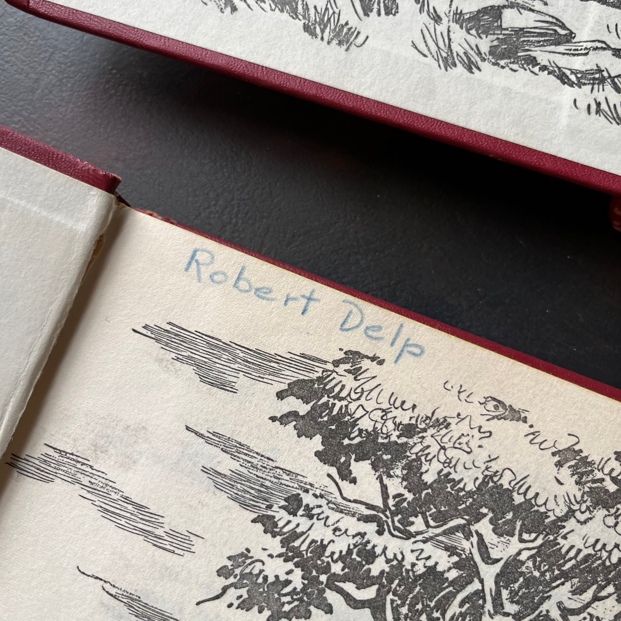 The Happy Hollisters Six Book Set-Jerry West-America's Favorite Classic Mystery Series for Young Readers-Helen Hamilton-vintage children's chapter books-view of the name written in most of these editions