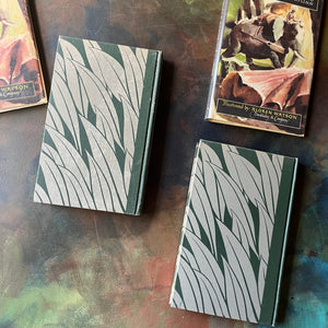 The Jungle Books by Rudyard Kipling Volumes I & II - Junior Illustrated Library Editions-vintage children's classics-view of the back covers