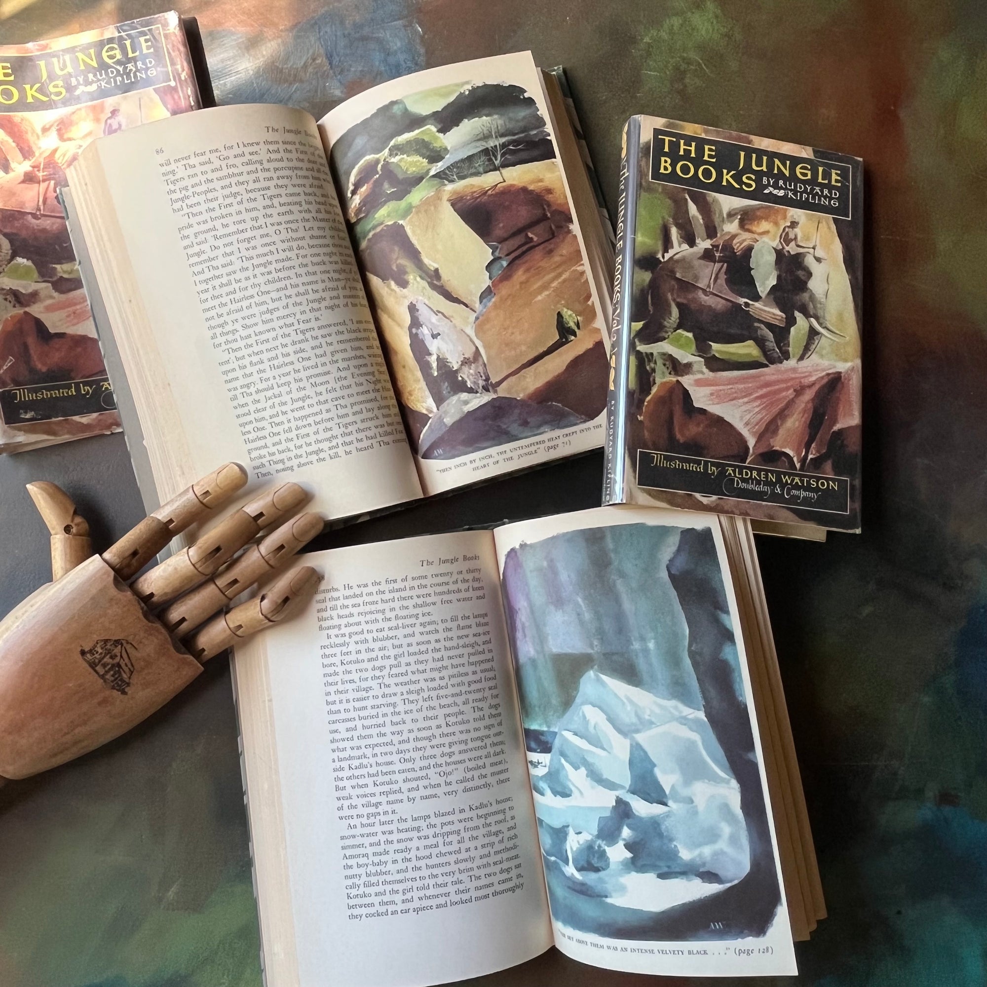 The Jungle Books by Rudyard Kipling Volumes I & II - Junior Illustrated Library Editions-vintage children's classics-view of the full-color illustrations