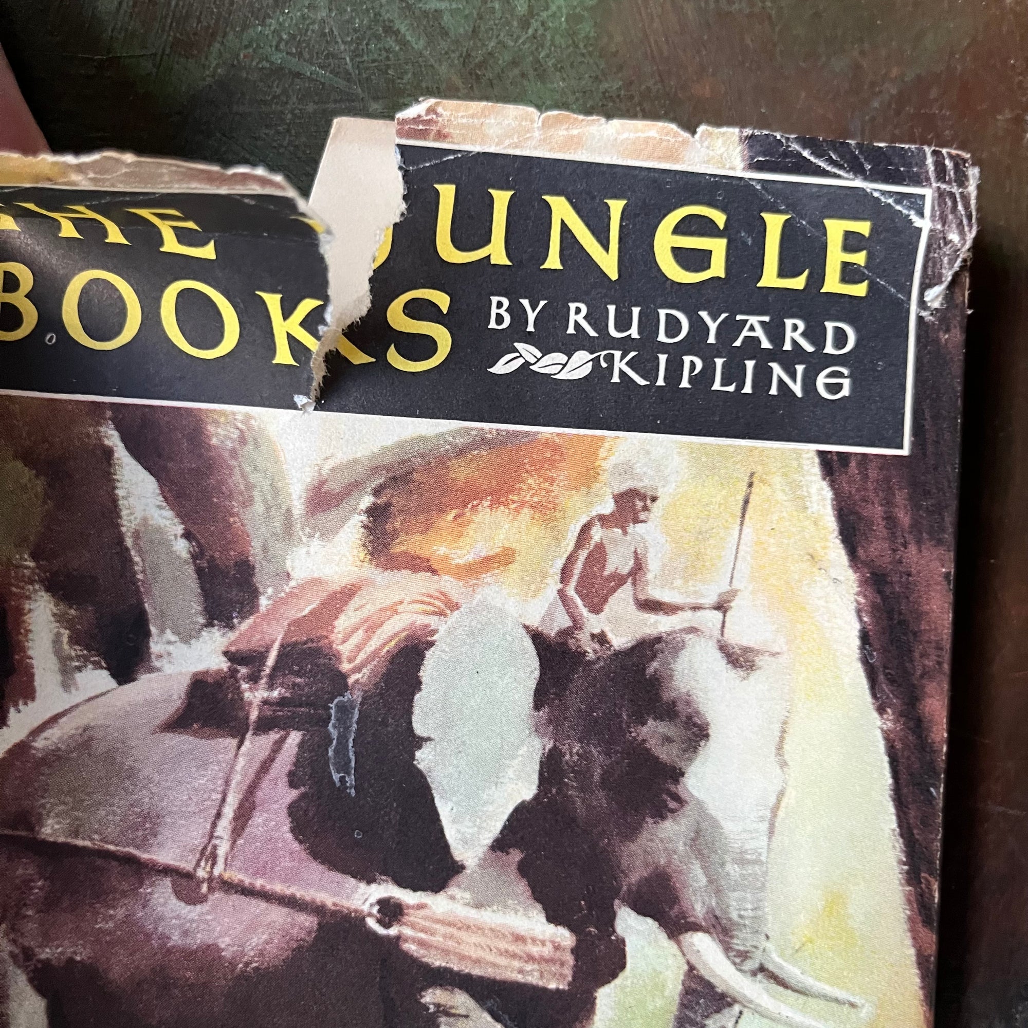 The Jungle Books by Rudyard Kipling Volumes I & II-Junior Illustrated Library Editions-vintage children's classics-closeup of the condition of the dust jacket in rough condition