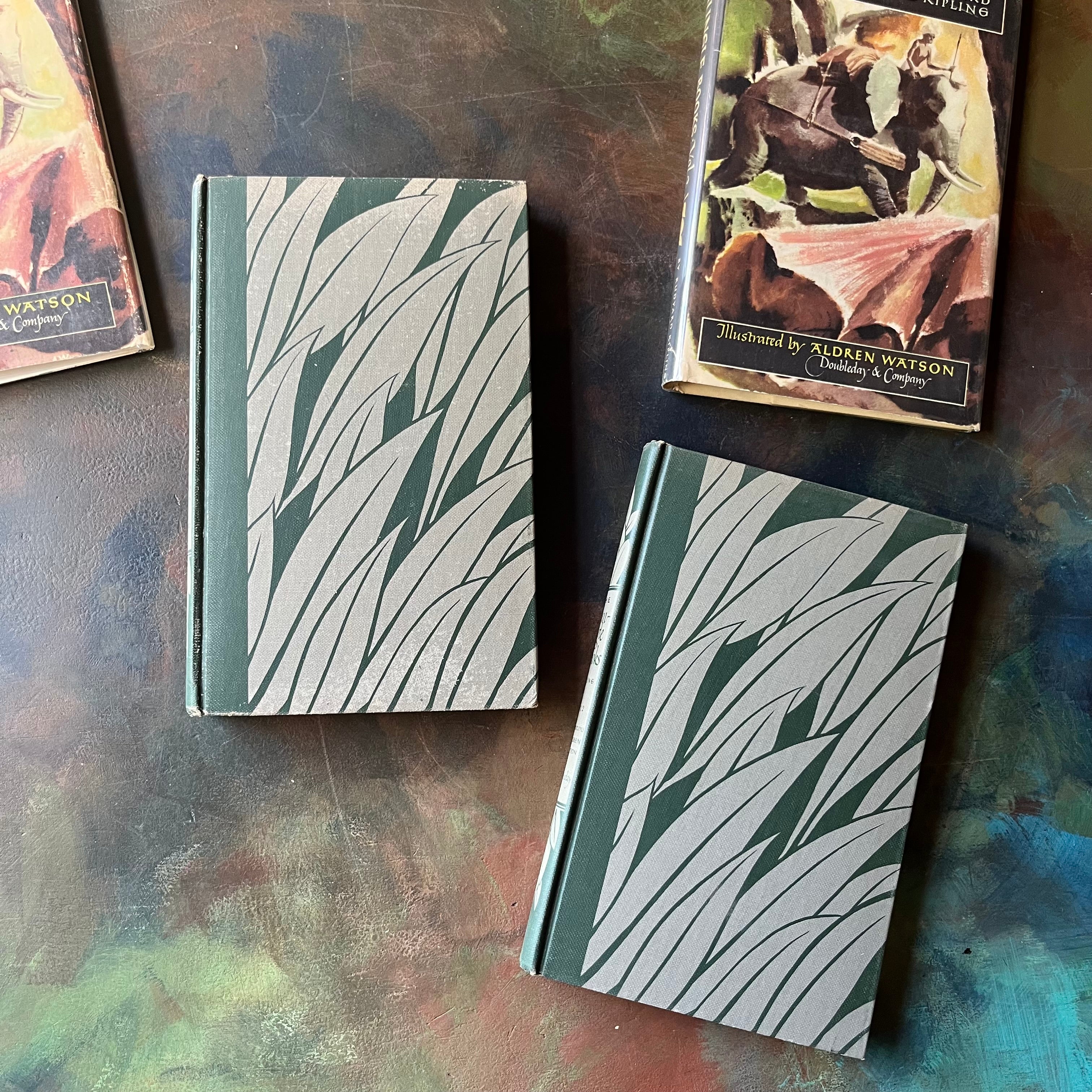 The Jungle Books by Rudyard Kipling Volumes I & II - Junior Illustrated Library Editions-vintage children's classics-view of the front covers