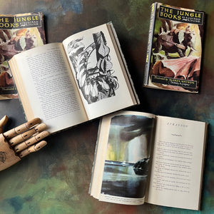 The Jungle Books by Rudyard Kipling Volumes I & II-Junior Illustrated Library Editions-vintage children's classics-view of both black & white & full-color illustratons