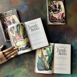 The Jungle Books by Rudyard Kipling Volumes I & II-Junior Illustrated Library Editions-vintage children's classics-view of the title pages & frontispieces