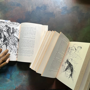 The Macmillan Classics Book Series-Jane Eyre written by Charlotte Bronte and Little Women written by Louisa May Alcott-vintage children's classic literature-view of the illustrations