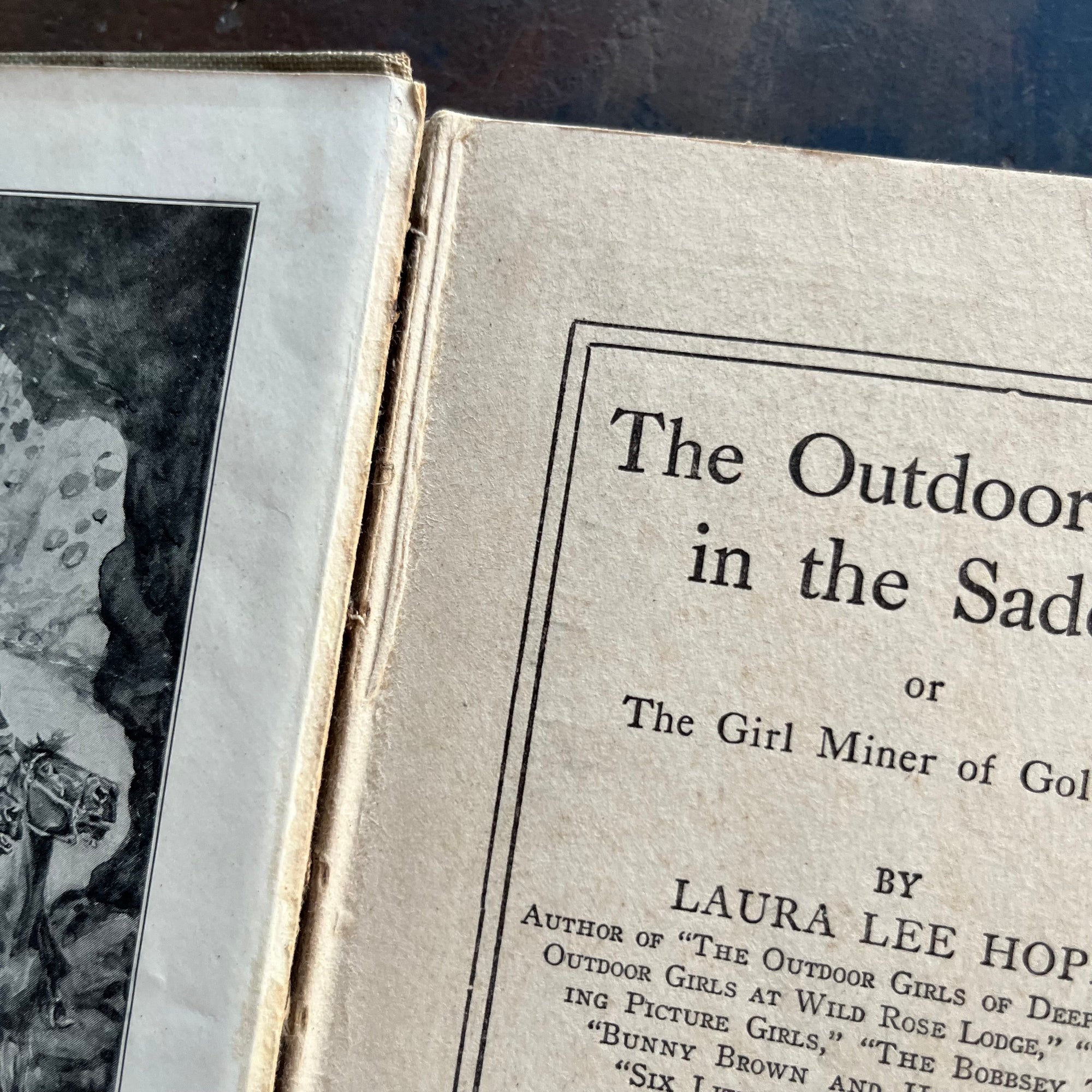 The Outdoor Girls on Cape Cod-The Outdoor Girls at Foaming Falls-The Outdoor Girls in the Saddle-Laura Lee Hope-vintage adventure books for girls-view of the loose spines noted