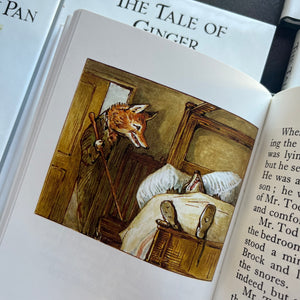  The Peter Rabbit Library Complete 23 Volume Set Written & Illustrated by Beatrix Potter-classic children's stories-children's bookshelf must have-view of one of the color illustrations within the pages of these books - this one from Mr. Todd