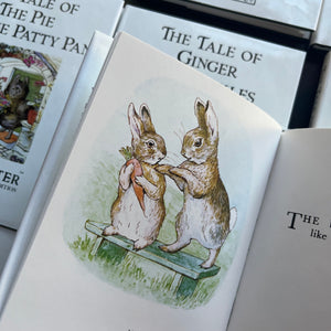  The Peter Rabbit Library Complete 23 Volume Set Written & Illustrated by Beatrix Potter-classic children's stories-children's bookshelf must have-view of another illustration in full color from the set - this one from The Story of a Fierce Bad Rabbit