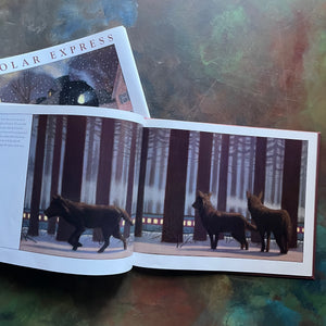 The Polar Express written and illustrated by Chris Van Allsburg-Caldecott award winning picture book-Christmas classic-view of the illustrations of the wolves in the woods as the Polar Express goes by