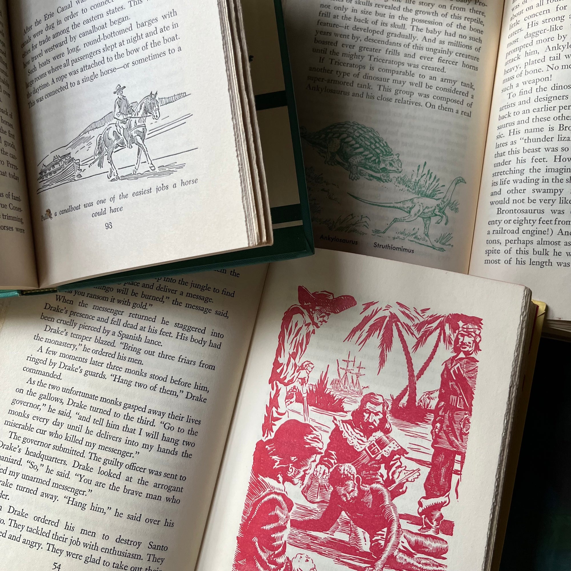 The Real Books About Series Book Set-Horses-Ships-Pirates-Cowboys-Prehistoric Life-vintage children's living history books-view of the illustrations