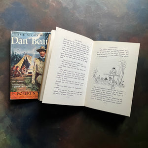 The Story of Dan Brown A Signature Series Children's Chapter Book by Robert N. Webb - view of the illustrations