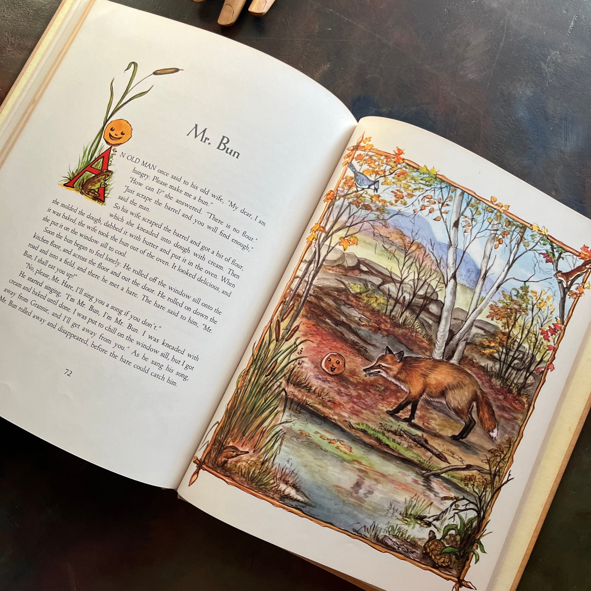 The Tasha Tudor Book of Fairy Tales selected, edited & illustrated by Tasha Tudor-vintage children's book-vintage fairy tales-vintage short stories-view of the full-page, full-color illustrations by Tasha Tudor