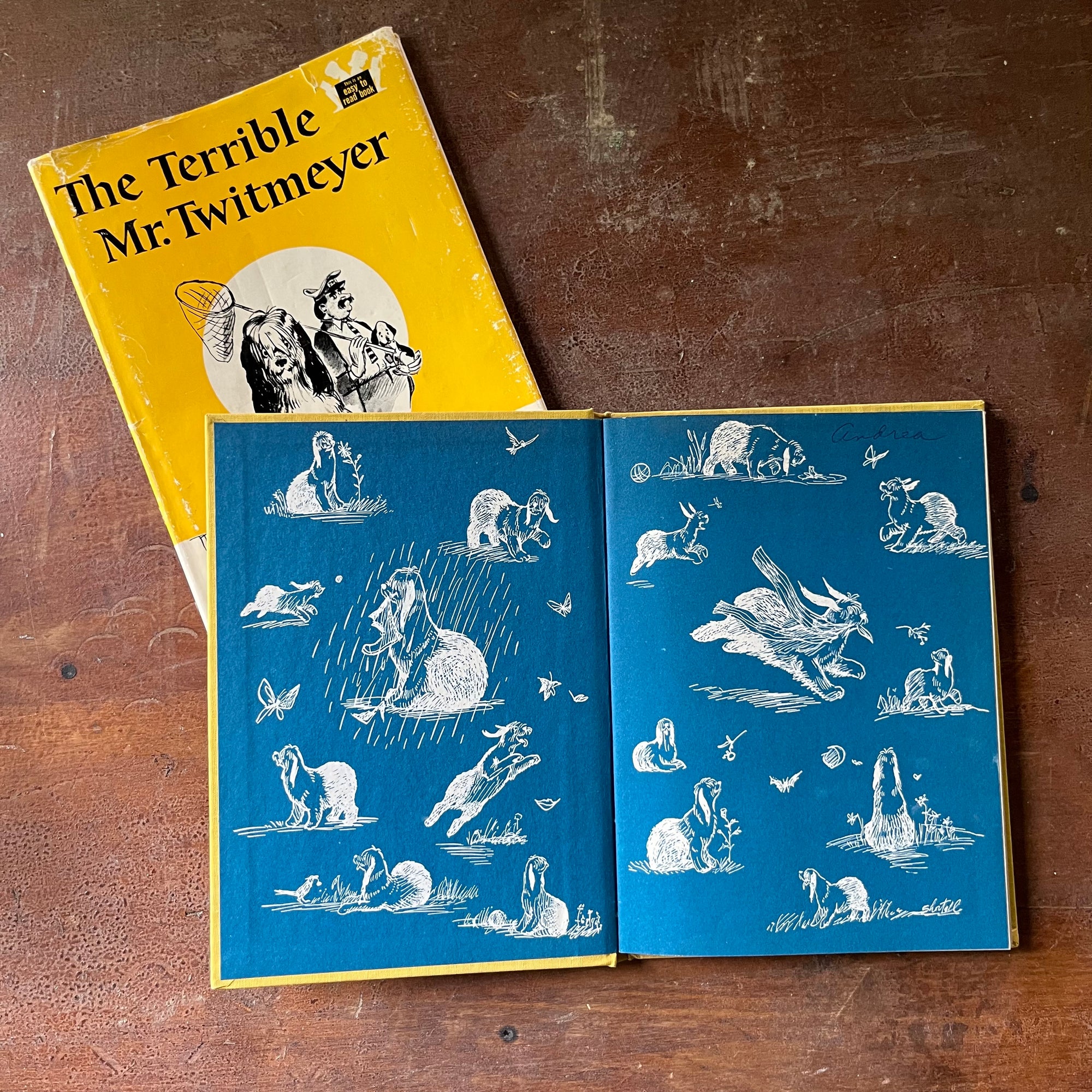 vintage children's chapter book, This is an Easy to Read Book, Step Into Reading - The Terrible Mr. Twitmeyer written by Lilian Moore & Leone Adelson with illustrations by Leonard Shortall - view of the inside cover