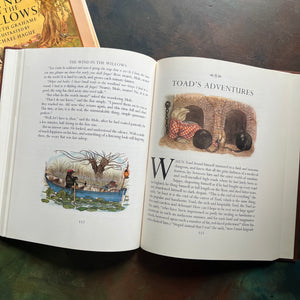 The Wind in The Willows written by Kenneth Grahame with illustrations by Michel Hague-vintage children's chapter book-classic literature-read aloud favorite-view of the illustrations