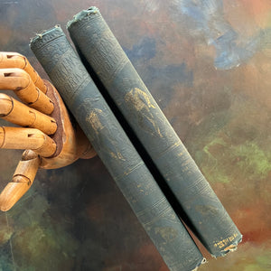 The Works of Charles Dickens Collier's Unabridged Editions-Volume V and Volume VI-Classic English Literature-view of the embossed spines