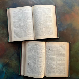 The Works of Charles Dickens Household Editions - Nicholas Nickleby and Dombey and Son - antique, collectible editions-view of the foxing (age spots) noted in both editions