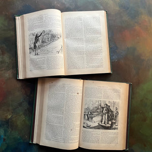 The Works of Charles Dickens Household Editions - Nicholas Nickleby and Dombey and Son - antique, collectible editions-view of the illustrations