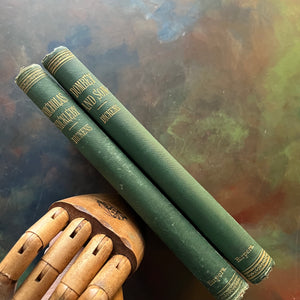 The Works of Charles Dickens Household Editions - Nicholas Nickleby and Dombey and Son - antique, collectible editions-view of the spines