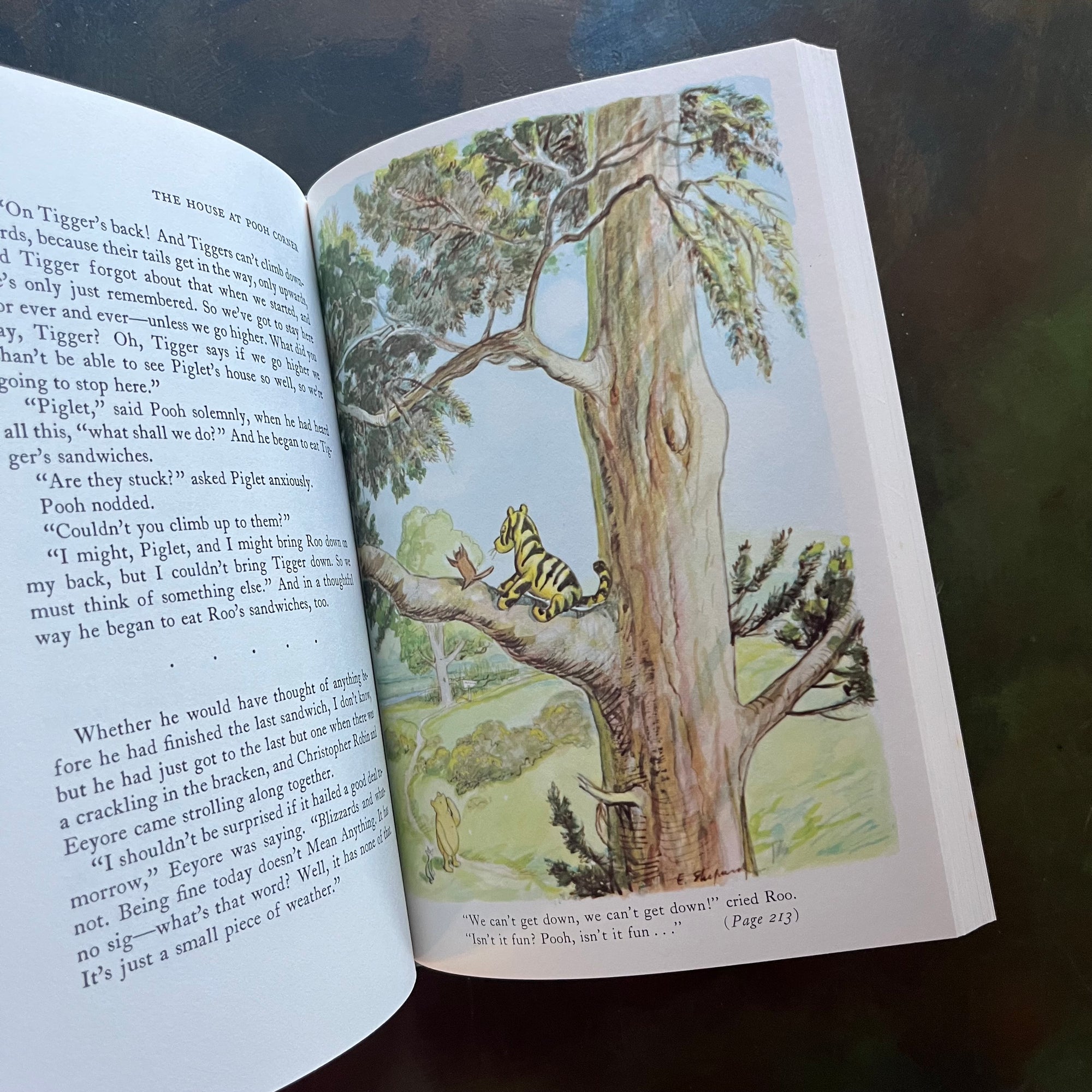 The World of Pooh-The Complete Winnie the Pooh and The House at Pooh Corner-A. A. Milne-E. H. Shepard-Read Aloud Revival-vintage children's short stories-view of the full color illustrations