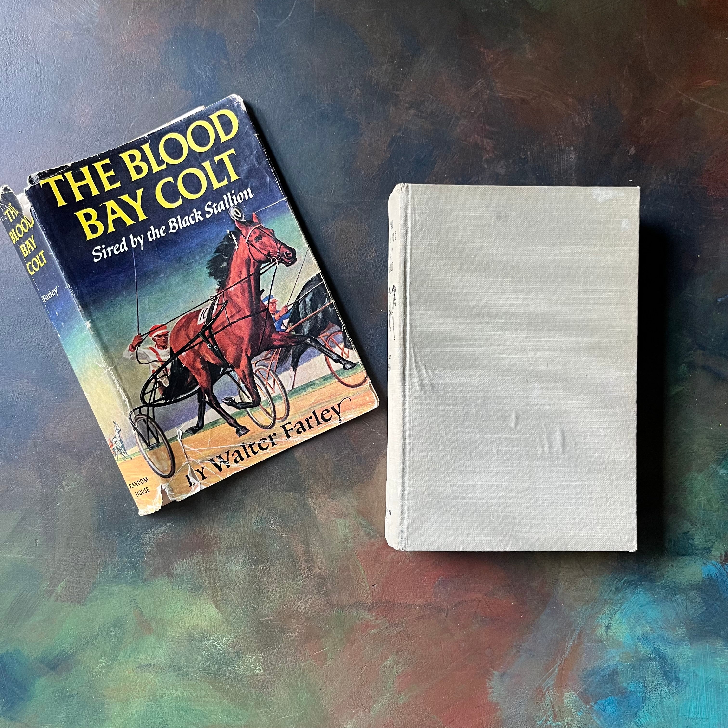 The Blood Bay Colt-Walter Farley-The Black Stallion Book Series-vintage children's fiction-children's chapter book-view of the front cover