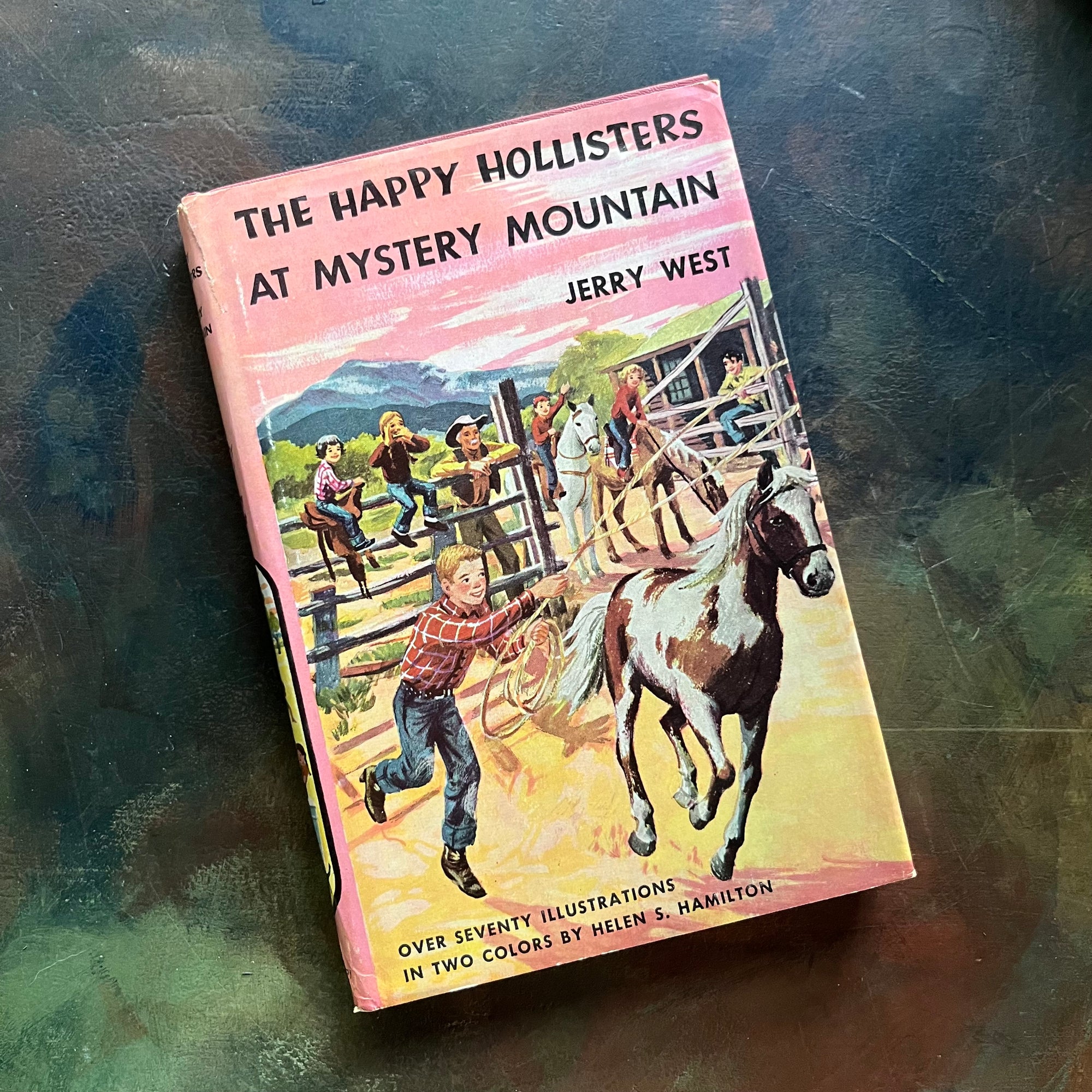 Happy Hollisters Vintage Children’s Mystery Book Series | Choose Your Title