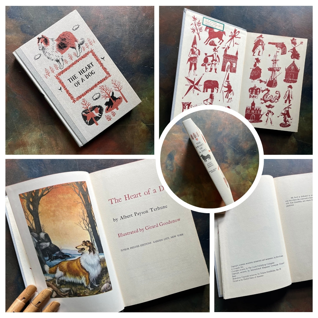 A collage of Junior Deluxe Edition books showing the cover, inside cover, spine, title page and copyright page of the book, the Heart of a Dog, written by Albert Payson Terhune- vintage children's classic literature books-collectible children's books-rainbow book spines
