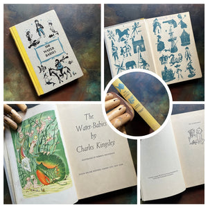A collage of Junior Deluxe Edition books showing the cover, inside cover, spine, title page and copyright page of the book, The Water Babies, written by Charles Kingsley - vintage children's classic literature books-collectible children's books-rainbow book spines
