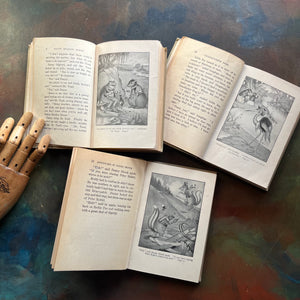 Set of Three Thornton Burgess Bedtime Story-Books Set-The Adventures of Grandfather Frog, The Adventures of Danny Meadow Mouse and The Adventures of Jimmy Skunk-illustrated by Harrison Cady - short chapter stories - nature themed children's books - view of the illustrations