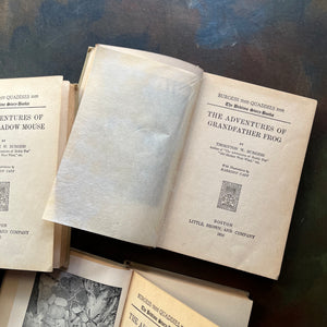 Set of Three Thornton Burgess Bedtime Story-Books Set-The Adventures of Grandfather Frog, The Adventures of Danny Meadow Mouse and The Adventures of Jimmy Skunk-illustrated by Harrison Cady - short chapter stories - nature themed children's books - view of the title page