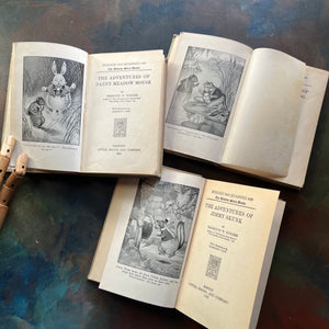 Set of Three Thornton Burgess Bedtime Story-Books Set-The Adventures of Grandfather Frog, The Adventures of Danny Meadow Mouse and The Adventures of Jimmy Skunk-illustrated by Harrison Cady - short chapter stories - nature themed children's books - view of the title pages
