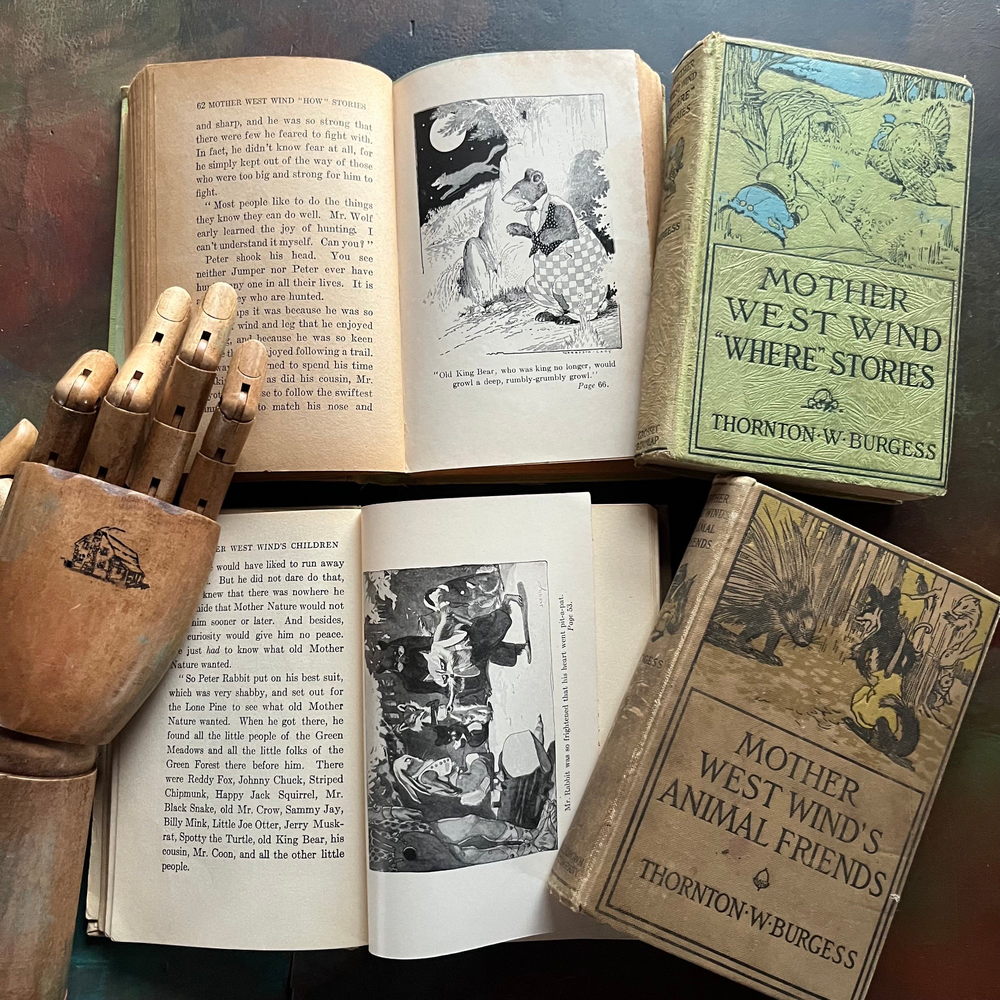 Thornton Burgess Mother West Wind Books Set – Vintage Children’s Animal Stories | Illustrated by Harrison Cady