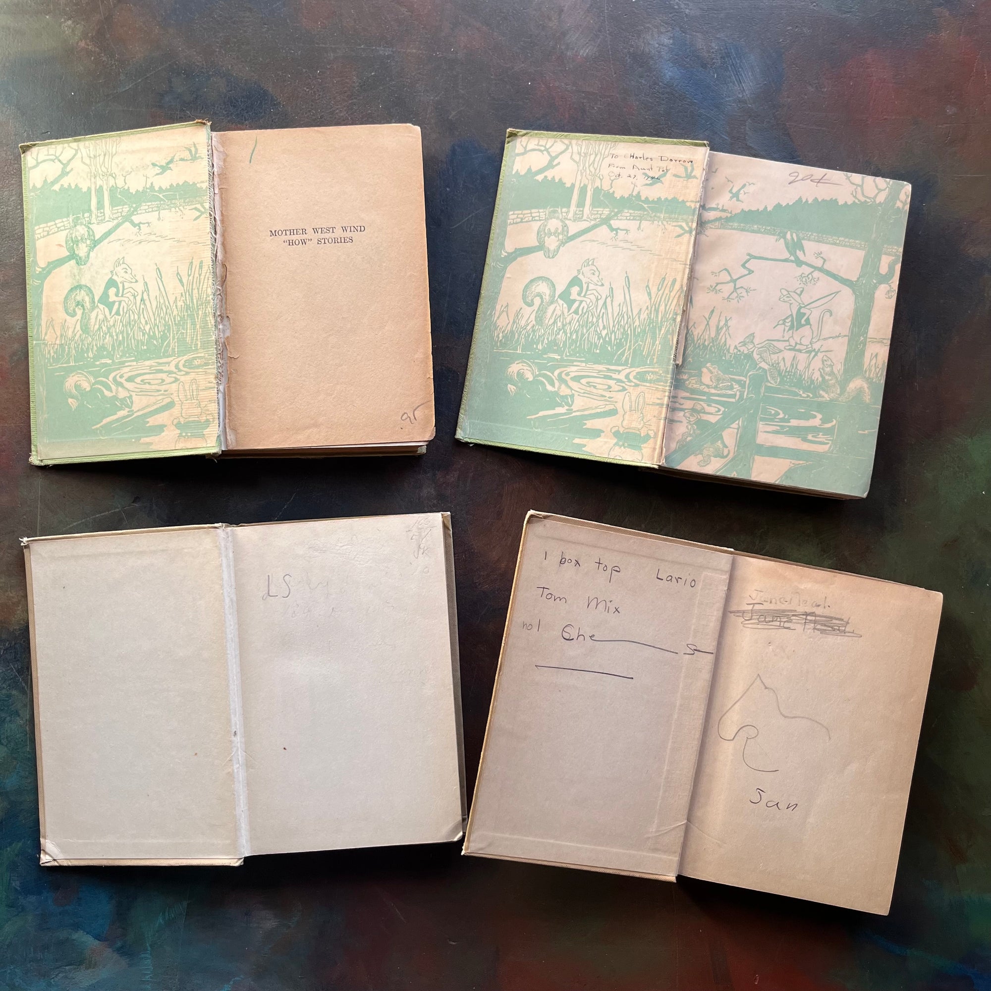 Thornton Burgess Mother West Wind Books Set – Vintage Children’s Animal Stories | Illustrated by Harrison Cady