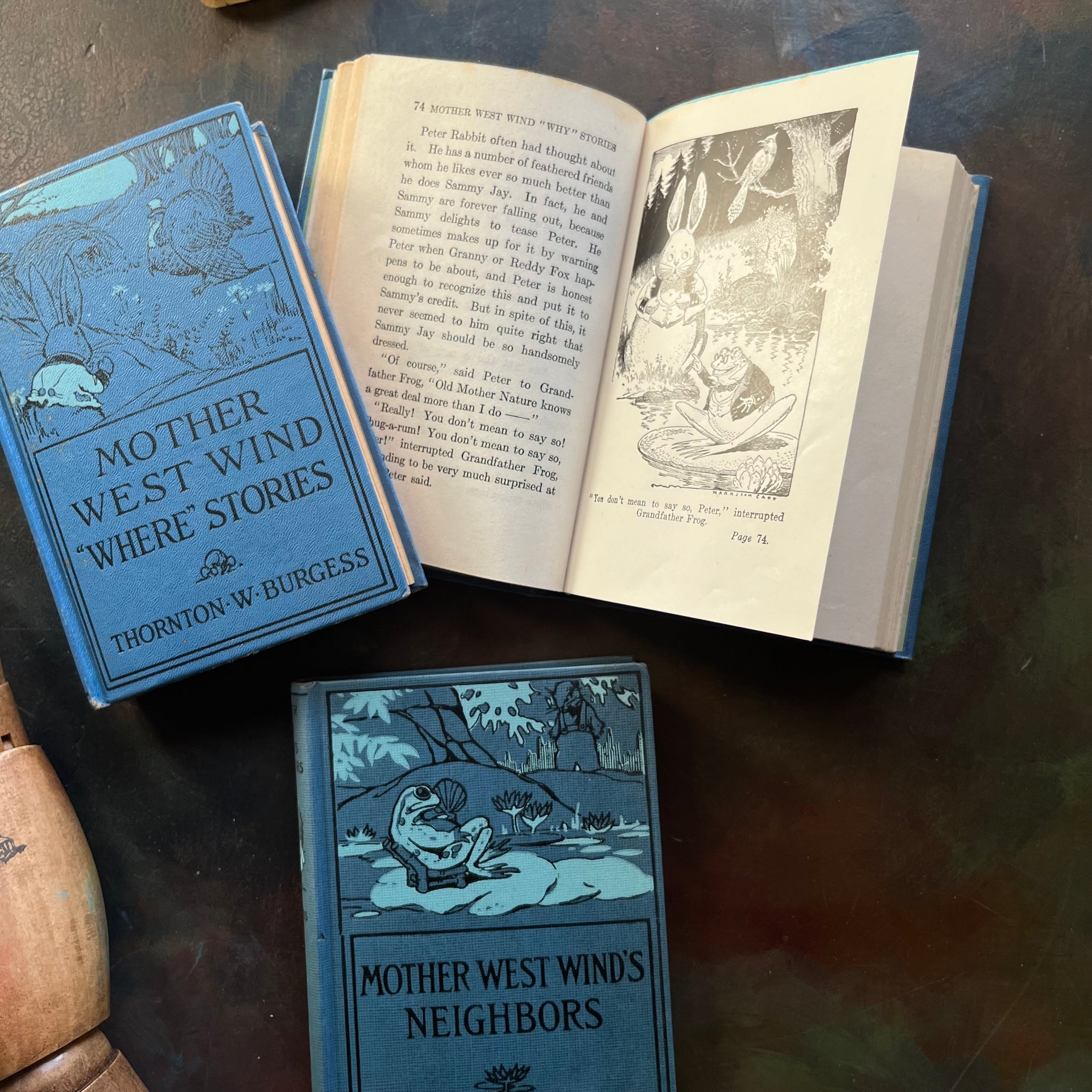 Thornton W. Burgess Animal Story Books-Mother West Wind Where Stories-Mother West Wind Why Stories-Mother West Wind's Neighbor-favorite read alouds-view of the illustrations