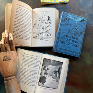 Thornton W. Burgess Animal Story Books-Mother West Wind Where Stories-Mother West Wind Why Stories-Mother West Wind's Neighbor-favorite read alouds-view of the illustrations