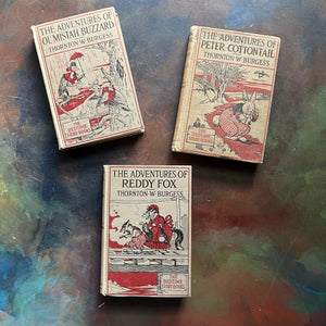 Set of Three illustrated Thornton Burgess Bedtime Story-Books-The Adventures of Reddy Fox-The Adventures of Peter Cottontail, and The Adventures of Ol' Mistah Buzzard-animal children's stories-vintage children's books - read aloud books-view of the front covers