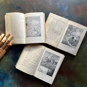 Set of Three illustrated Thornton Burgess Bedtime Story-Books-The Adventures of Reddy Fox-The Adventures of Peter Cottontail, and The Adventures of Ol' Mistah Buzzard-animal children's stories-vintage children's books - read aloud books-view of the illustrations