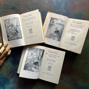 Set of Three illustrated Thornton Burgess Bedtime Story-Books-The Adventures of Reddy Fox-The Adventures of Peter Cottontail, and The Adventures of Ol' Mistah Buzzard-animal children's stories-vintage children's books - read aloud books-view of the title pages