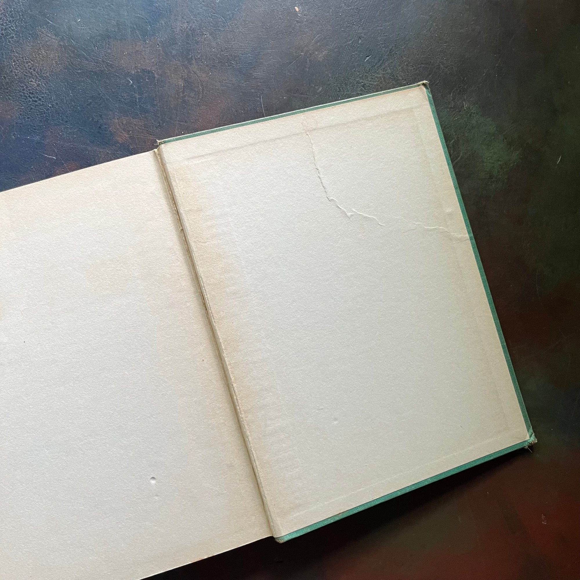 Tik-Tok of Oz written by L. Frank Baum with illustrations by John R. Neill-1914 Edition-modern day fairy tale-classic children's literature-vintage children's chapter book-view of the condition of the back cover - there is a crease noted.
