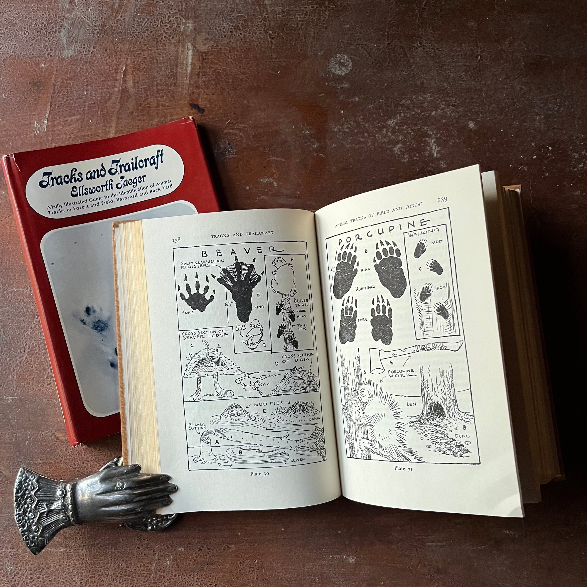 Log Cabin Vintage - vintage children's book - vintage nature book - identifying animal & bird tracks - Tracks and Trailcraft written and illustrated by Ellsworth Jaeger - view of the illustrations of different animal tracks