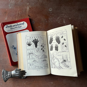 Log Cabin Vintage - vintage children's book - vintage nature book - identifying animal & bird tracks - Tracks and Trailcraft written and illustrated by Ellsworth Jaeger - view of the illustrations of different animal tracks