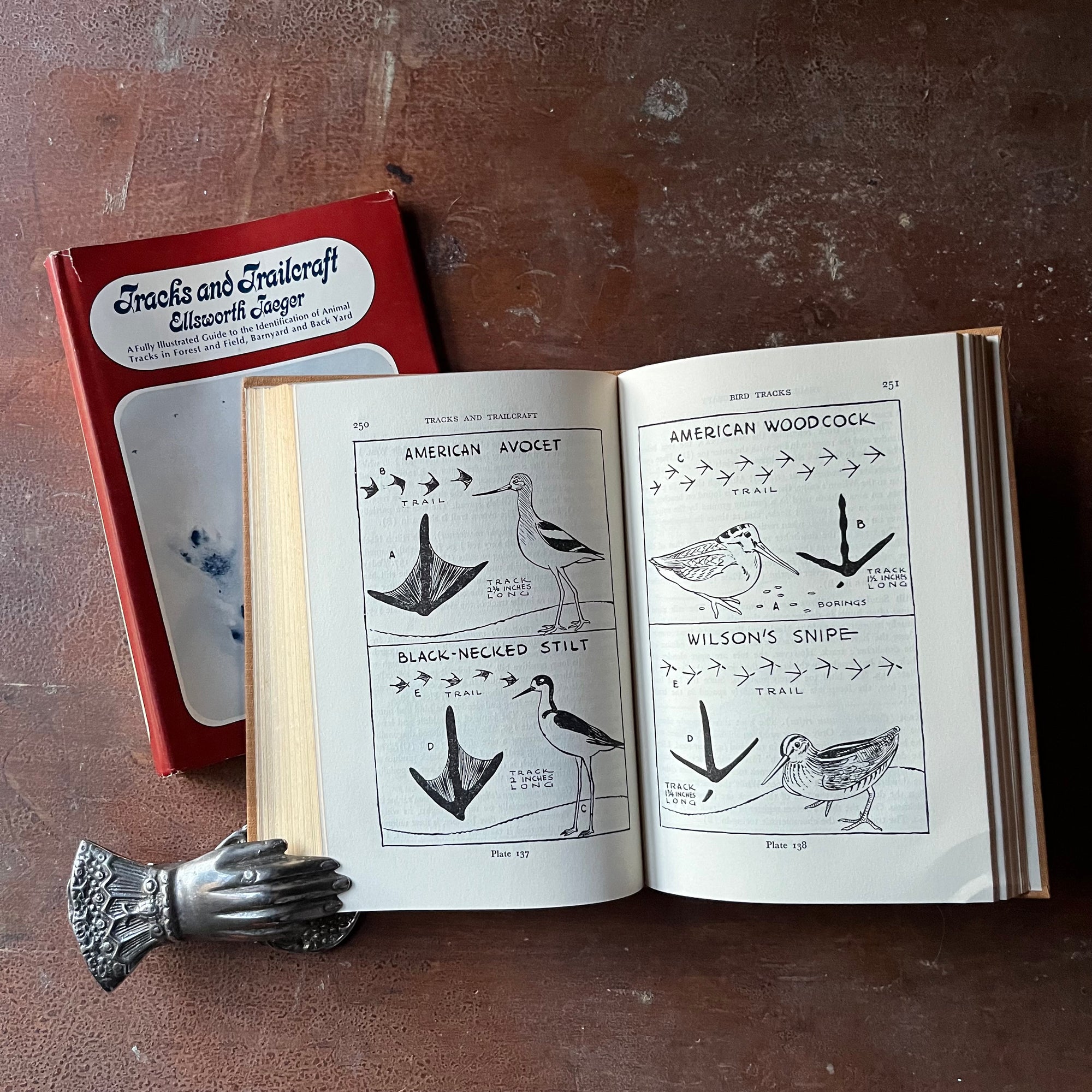 Log Cabin Vintage - vintage children's book - vintage nature book - identifying animal & bird tracks - Tracks and Trailcraft written and illustrated by Ellsworth Jaeger - view of the illustrations of shore birds & their tracks