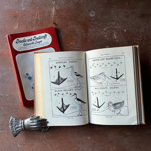 Log Cabin Vintage - vintage children's book - vintage nature book - identifying animal & bird tracks - Tracks and Trailcraft written and illustrated by Ellsworth Jaeger - view of the illustrations of shore birds & their tracks